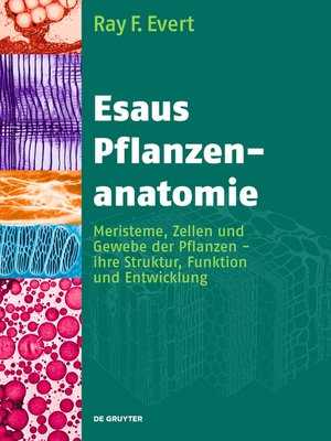 cover image of Esaus Pflanzenanatomie